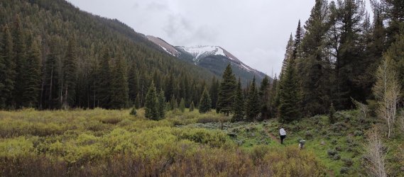 IMG_0260.jpg IMG_0260.jpg