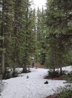 IMG_0260a.jpg IMG_0260a.jpg