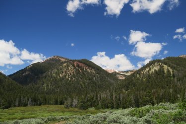 IMG_0261.JPG IMG_0261.JPG