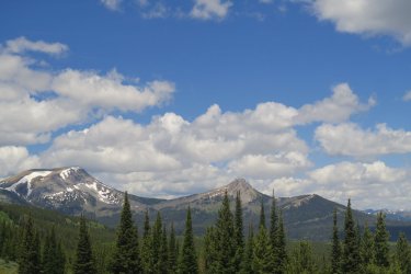 IMG_0268.JPG IMG_0268.JPG