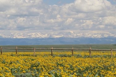 IMG_0273.JPG IMG_0273.JPG