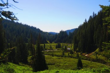 IMG_0284.JPG IMG_0284.JPG