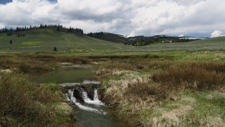 IMG_0307.JPG IMG_0307.JPG