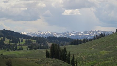 IMG_0312.JPG IMG_0312.JPG