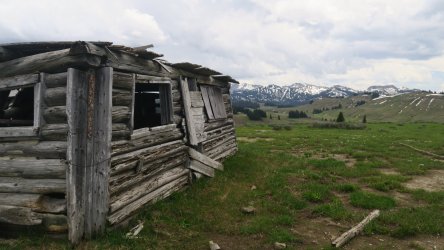 IMG_0315.JPG IMG_0315.JPG