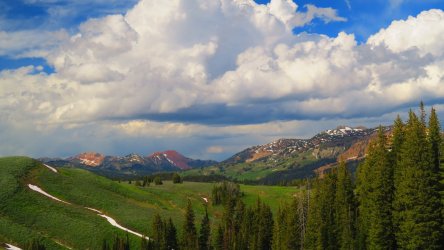 IMG_0333.JPG IMG_0333.JPG