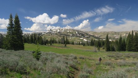 IMG_0348.JPG IMG_0348.JPG