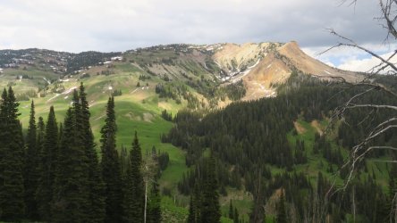 IMG_0360.JPG IMG_0360.JPG