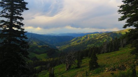 IMG_0373.JPG IMG_0373.JPG