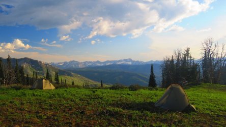 IMG_0377.JPG IMG_0377.JPG