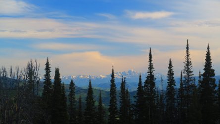 IMG_0390.JPG IMG_0390.JPG