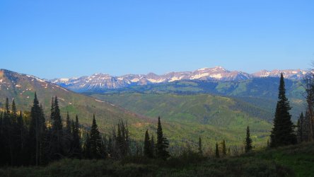 IMG_0392.JPG IMG_0392.JPG