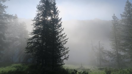 IMG_0425.JPG IMG_0425.JPG