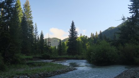 IMG_0429.JPG IMG_0429.JPG