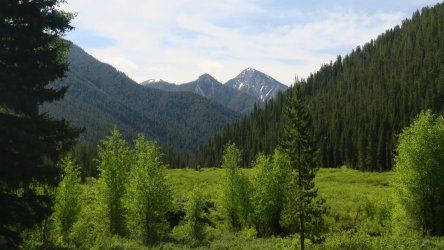 IMG_0443.JPG IMG_0443.JPG