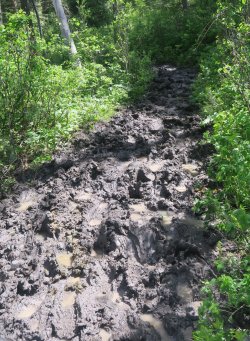 IMG_0470.jpg IMG_0470.jpg