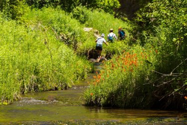 RCM02466-Death Hollow 2023-230626-69.jpg