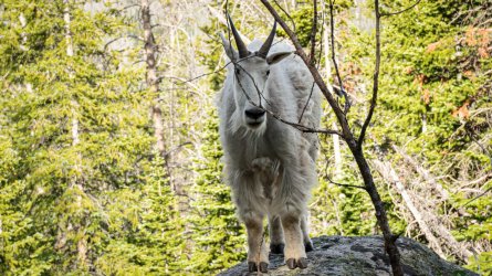 DSC01060-Enhanced-NR.jpg DSC01060-Enhanced-NR.jpg