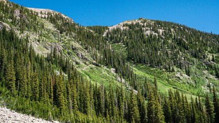 DSC01102.jpg DSC01102.jpg