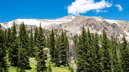 DSC01118.jpg DSC01118.jpg