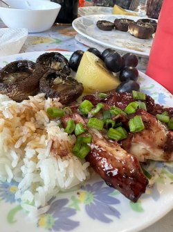 IMG_5021.jpg IMG_5021.jpg