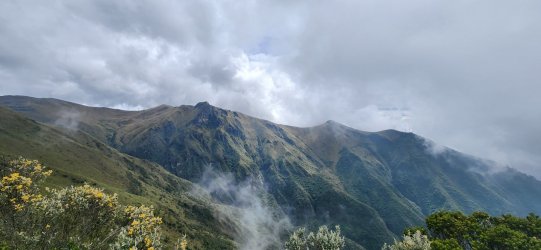 20230530_102609.jpg 20230530_102609.jpg