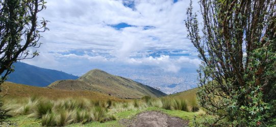 20230530_110943.jpg 20230530_110943.jpg