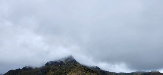 20230605_112850.jpg 20230605_112850.jpg