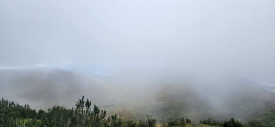 20230605_115853.jpg 20230605_115853.jpg