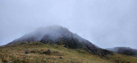 20230606_120046.jpg 20230606_120046.jpg