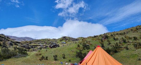 20230611_131015.jpg 20230611_131015.jpg