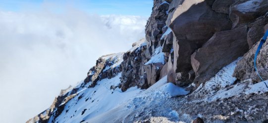 20230616_090117.jpg 20230616_090117.jpg