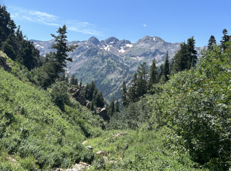 Screenshot 2023-07-25 at 4.00.23 PM.png