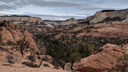 IMG_20180106_114824.jpg IMG_20180106_114824.jpg