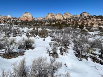 IMG_2464 (2).JPG IMG_2464 (2).JPG