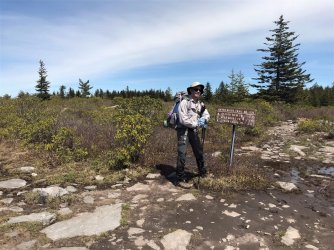 IMG_0364a_Large.JPEG IMG_0364a_Large.JPEG