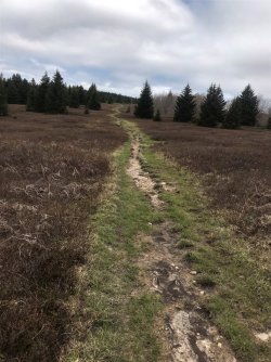 IMG_0448a_Large.JPEG IMG_0448a_Large.JPEG