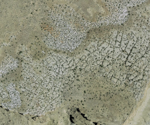 Screenshot 2023-07-30 at 7.30.56 PM.png