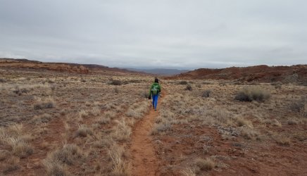 20170114_130732~2.jpg 20170114_130732~2.jpg