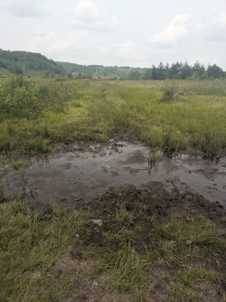 2023-08-01 15.05.52.jpg