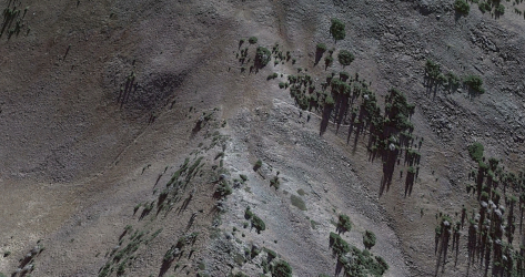 Screenshot from 2023-08-14 13-42-48.png