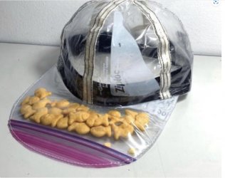 a ziplock hat.jpg