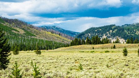 DSC01525.jpg DSC01525.jpg