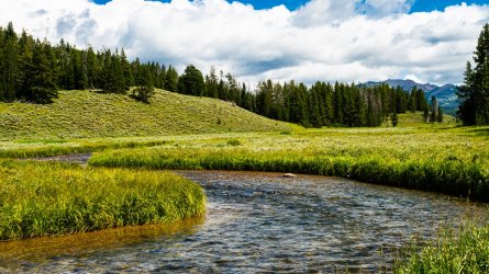 DSC01529.jpg DSC01529.jpg