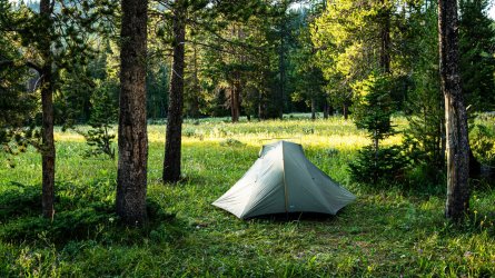 DSC01537.jpg DSC01537.jpg