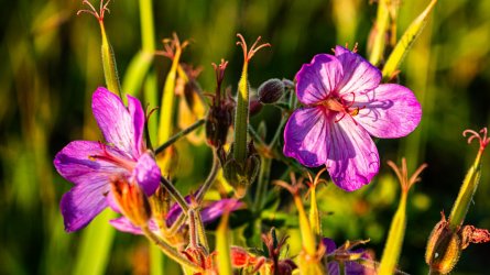 DSC01549.jpg DSC01549.jpg