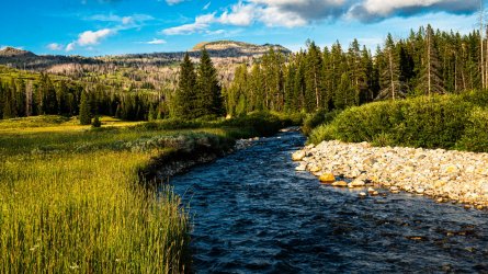 DSC01552.jpg DSC01552.jpg