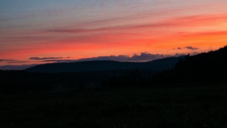 DSC01574.jpg DSC01574.jpg