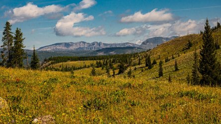 DSC01595.jpg DSC01595.jpg