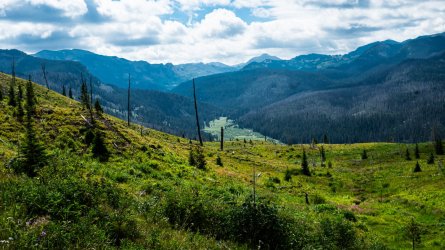 DSC01609.jpg DSC01609.jpg